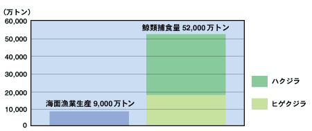 鯨類の捕食量と海面漁業生産量の比較