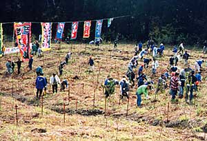 漁民植樹活動