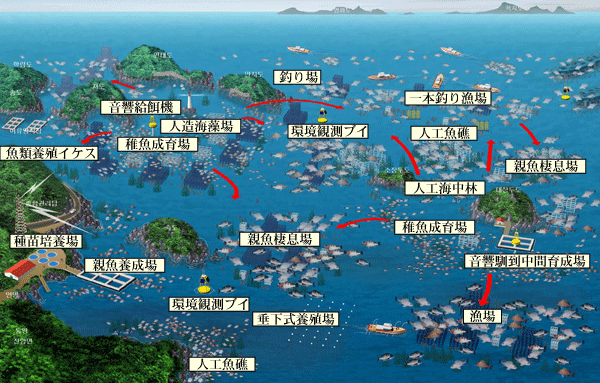 韓国における海洋牧場事業計画イメージ
