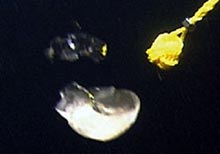 図2