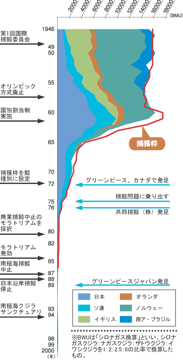 南極海の国別捕獲比率とグリーンピースの歴史