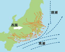 房総半島の冬季の風向と潮流