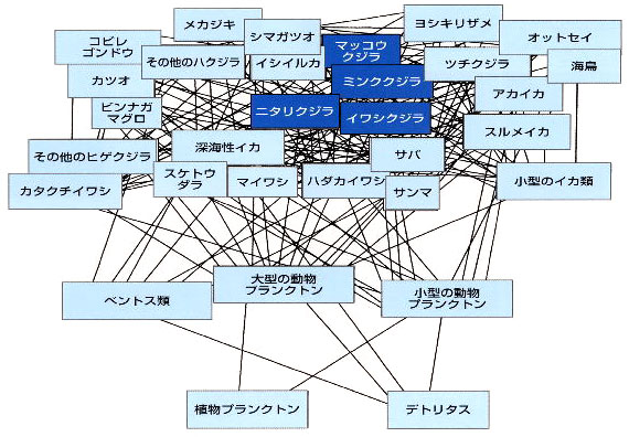 北西太平洋におけるエコパスモデルの図