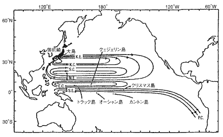 北太平洋における海洋循環の模式図