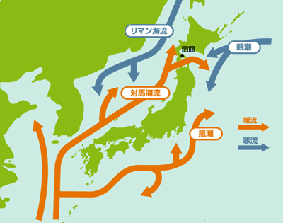 日本の暖流と寒流の図