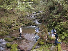 由良川源流域(芦生研究林)での実習の写真