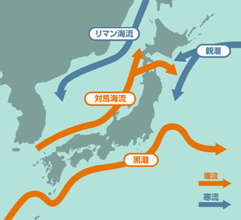 さかさ地図の発想と日本海学 海洋政策研究所 Oceannewsletter 笹川平和財団 The Sasakawa Peace Foundation