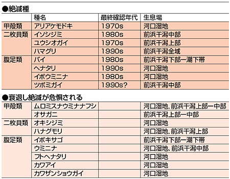東京湾干潟生物の絶滅と衰退