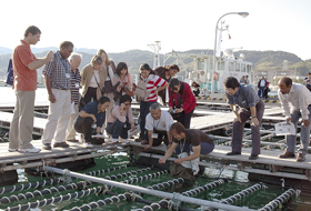 UNITAR研修ワークショップ(2007)