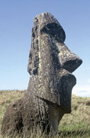 写真2　イースター島のラノララクにあるモアイ像。長い耳が特徴であり、島では長耳族と短耳族とのあいだで抗争があったとされている。