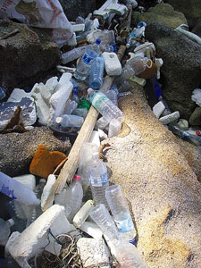 海岸に流れ着いたプラスチックボトルの山。