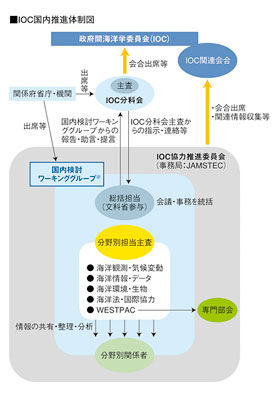 ※ 平成20年1月31日に開催された第57回IOC分科会の決定により、IOC分科会の下に国内検討ワーキンググループが新たに設置され、JAMSTECに設置されたIOC協力推進委員会の運営を通じて、その活動を推進することとなった。