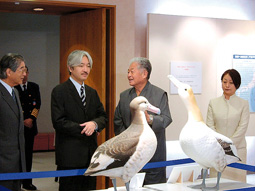 船の科学館で開催された「未来へはばたけ、アホウドリたち～写真展～」をご観覧される秋篠宮殿下