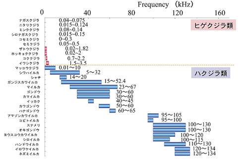 ■図3 鯨種による鳴音周波数帯の違い
