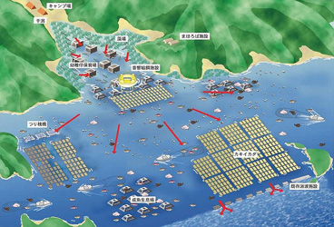 東備地区広域漁場整備事業イメージ図