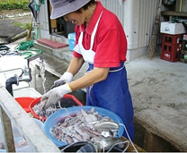 地元水産物を活用した漁村女性の起業活動が活発化している。