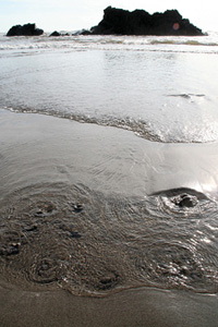 鳥海山山麓海岸・釜磯での海底湧出地下水。
