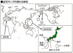 宝石サンゴの採れる海域