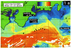 海面水温図とカツオ漁場の関係
