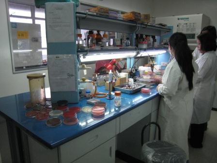 フィリピン国立熱帯医学研究所（マニラ）での検体検査の現場