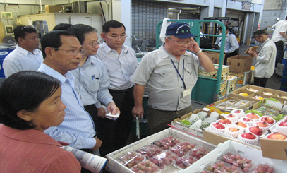 東京都大田青果市場を見学するカンボジアの国会議員