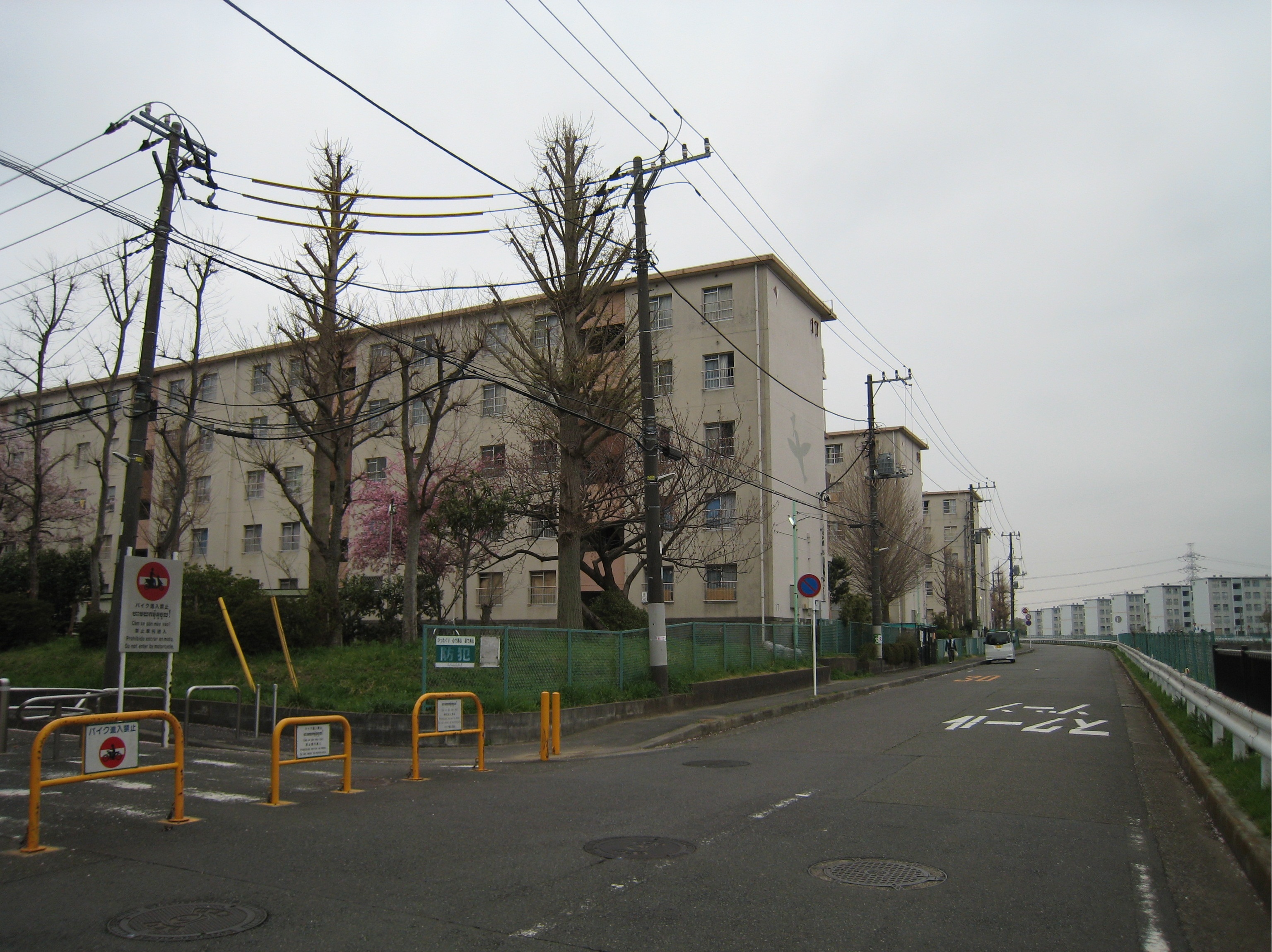 神奈川県大和市いちょう団地（調査地）