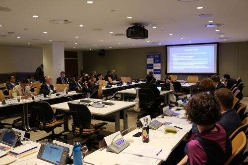 Side Event on Capacity Development on the Sidelines of the First BBNJ Intergovernmental Conference at United Nations Headquarters