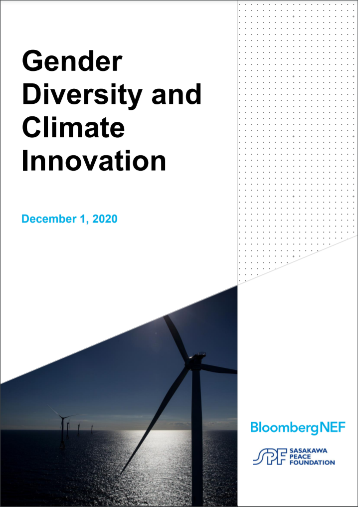 Gender Diversity and Climate Innovation