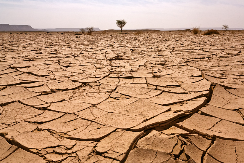 IINA: How will climate change affect conflict dynamism in Africa?