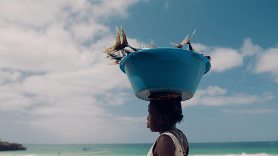 NHK World broadcasts special program “The Blue Economy in African Nations: Views from Japan”