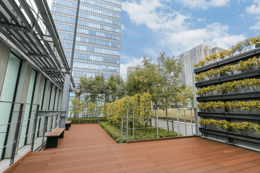 Roof Terrace