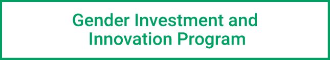 Former Gender Investment and Innovation Program banner