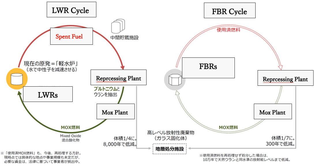 Figure 1：Conceptual diagram of the nuclear fuel cycle