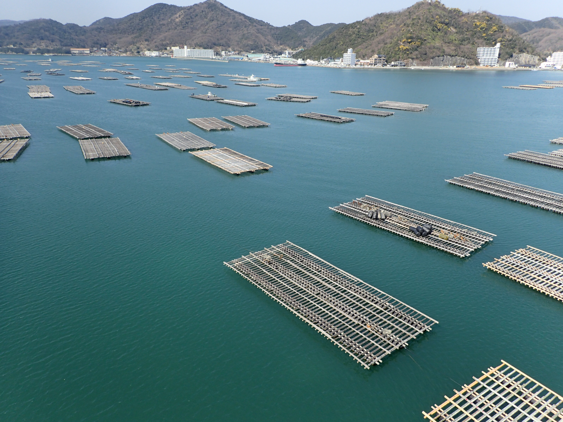 Oyster rafts in Hinasechō, Bizen City, Okayama Prefecture, where the blue economy is revitalizing the region