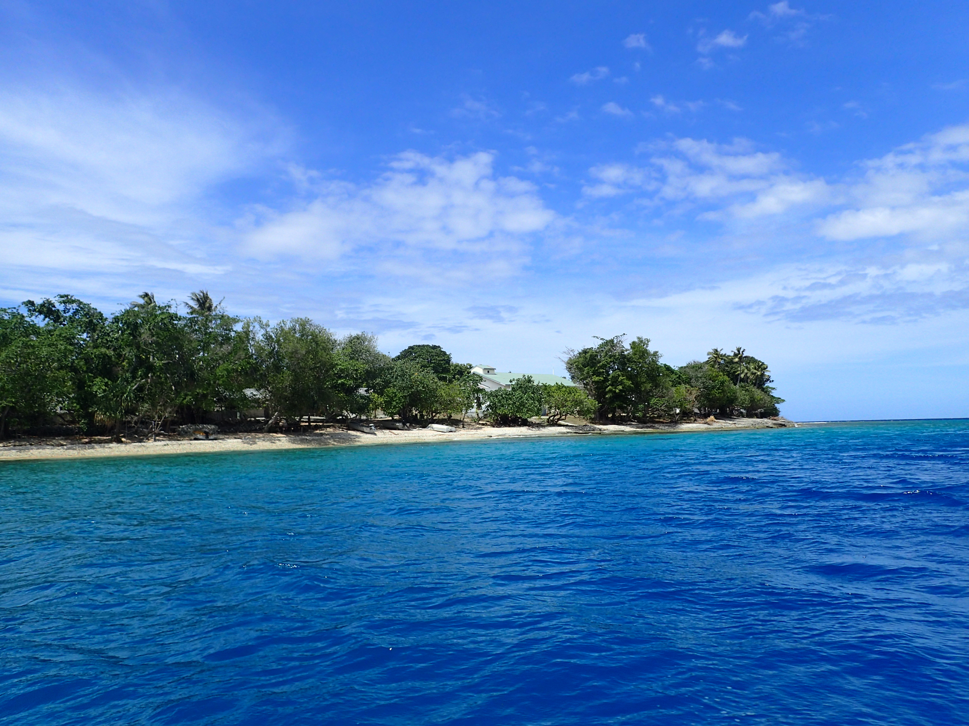 The oceans have long provided food for people around the world while also supporting the global economy