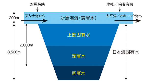 日本海底層の無酸素化の懸念 地球温暖化との関係 海洋政策研究所 Oceannewsletter 笹川平和財団 The Sasakawa Peace Foundation