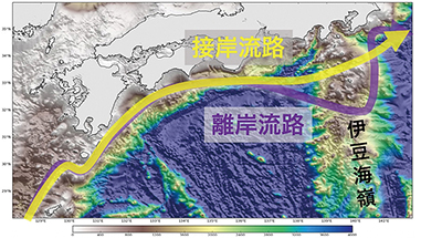 黒潮大蛇行とその影響    er   海洋政策研究所   笹川