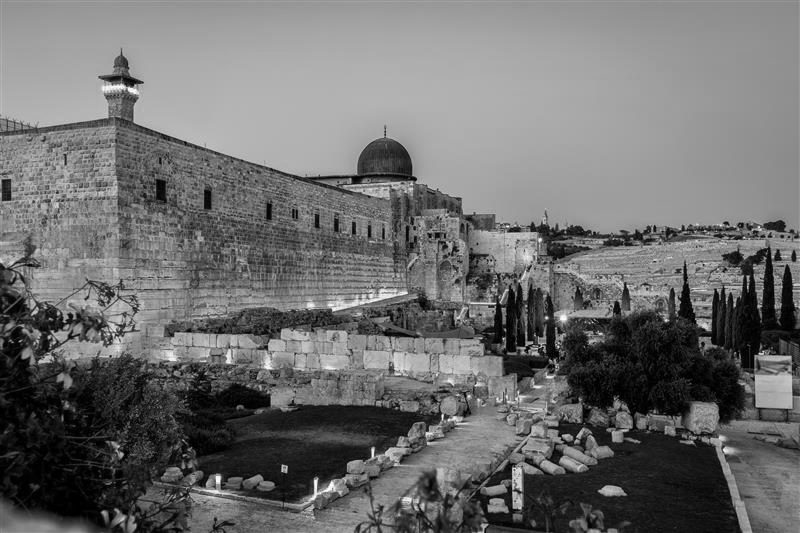 West East and Islam Program