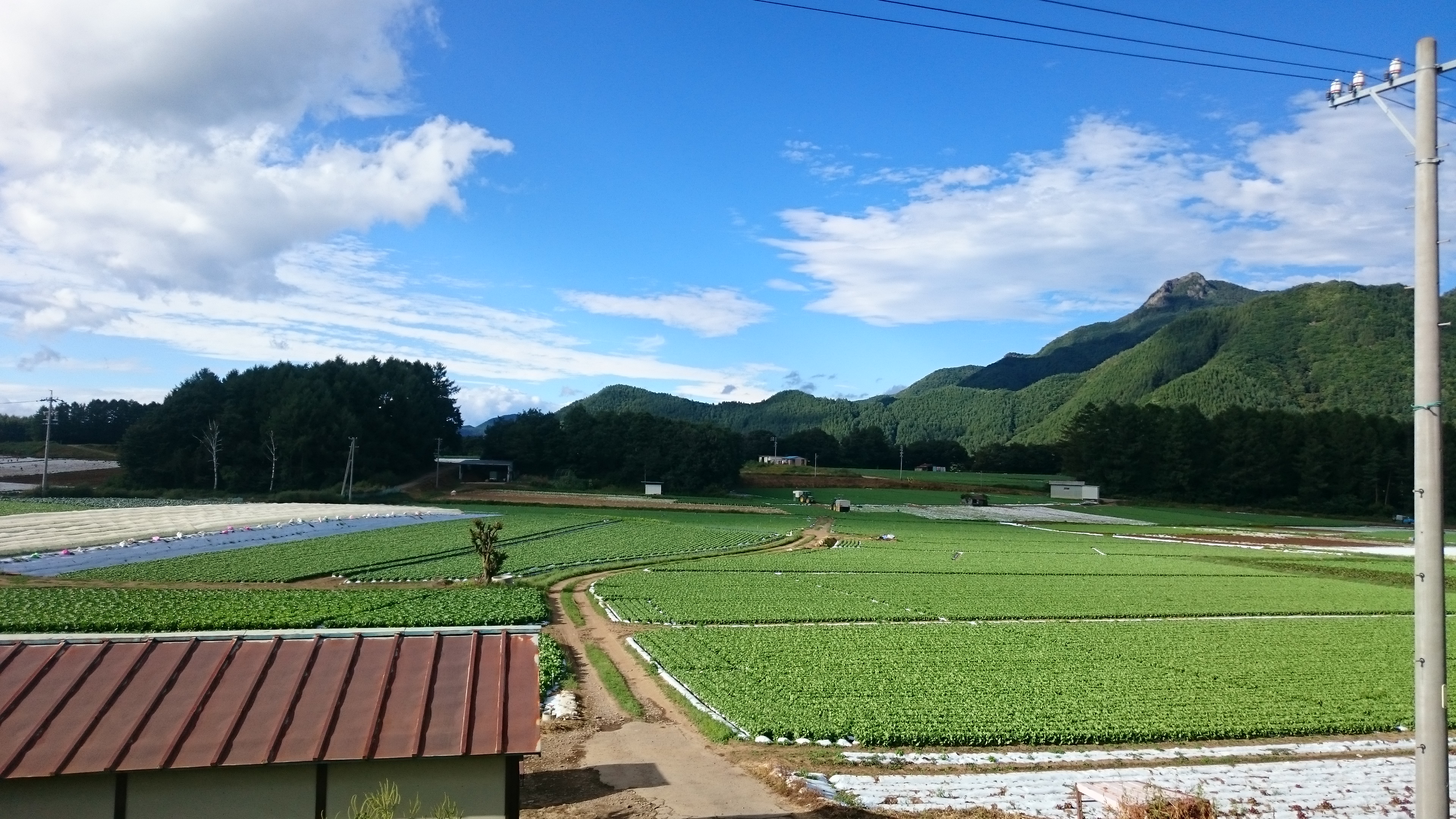 福建省農村幹部が来日しました。（9/7-9/16）