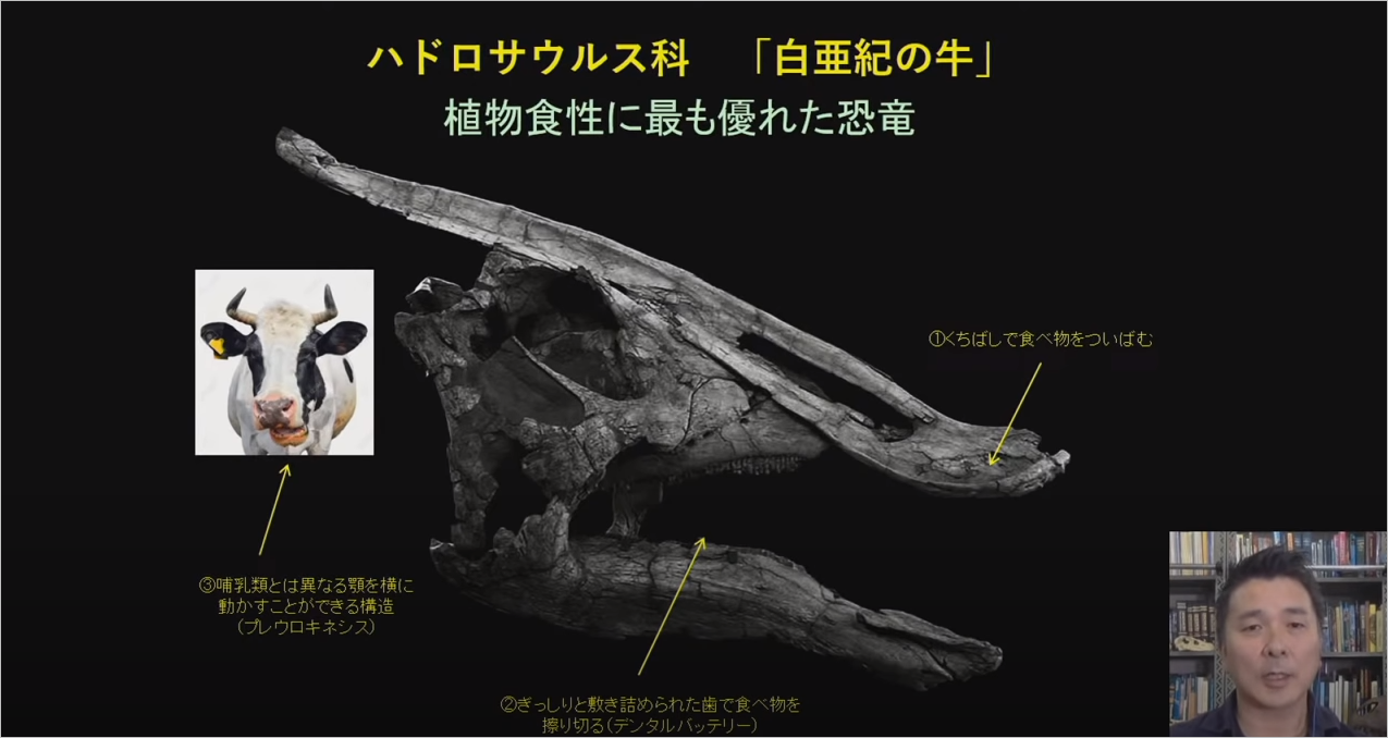 第173回海洋フォーラム「北極環境の現在―世界、そして海洋への影響に注目して―」（2020年8月24日実施）