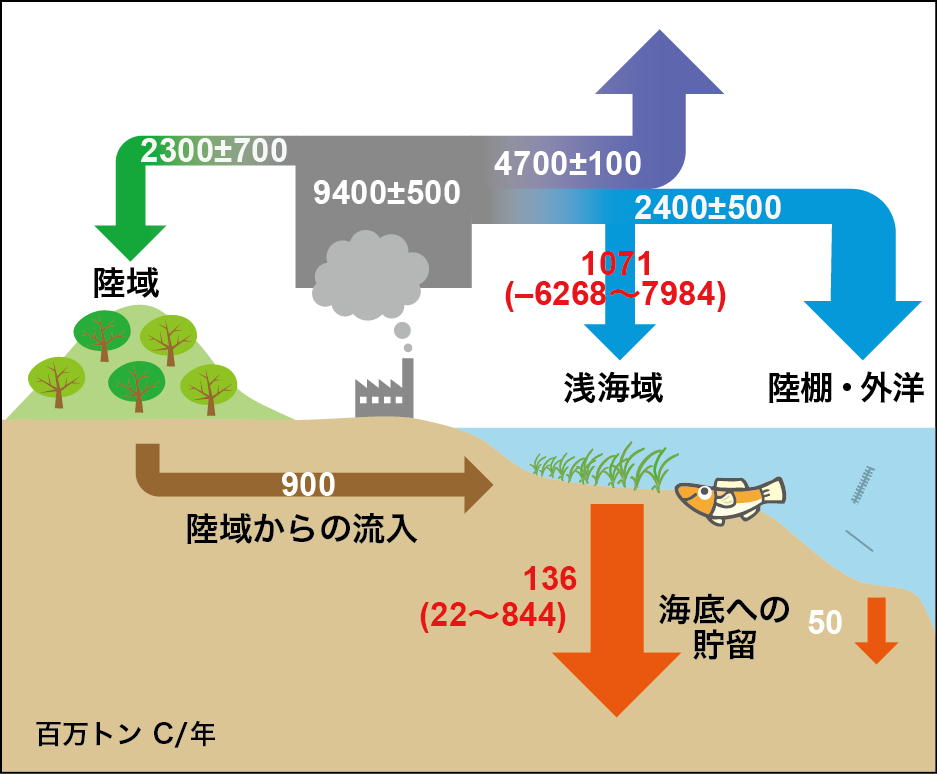 （画像）地球全体の炭素（ブルーカーボン）循環図