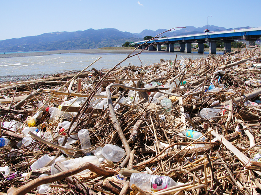 木くずに混じってプラスチックごみが散見される、河口に近い海岸の風景。こうなると回収・分別も一層難しい！（かながわ海岸美化財団提供）