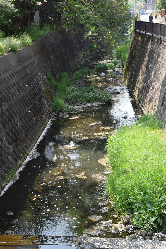 （写真）水路や川を経て、町中のごみは最終的に海へと流れ着く