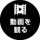 動画を観る