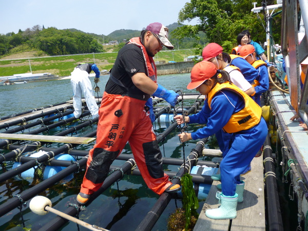 13-1_kesennuma.JPG