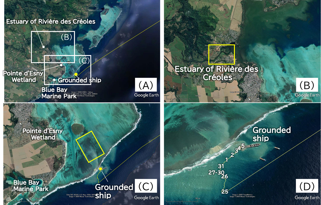 Environmental Impact of Oil Spill Incidents on Coral Reefs and Mangrove Forests, and Monitoring —Toward Environmental Restoration in Mauritius