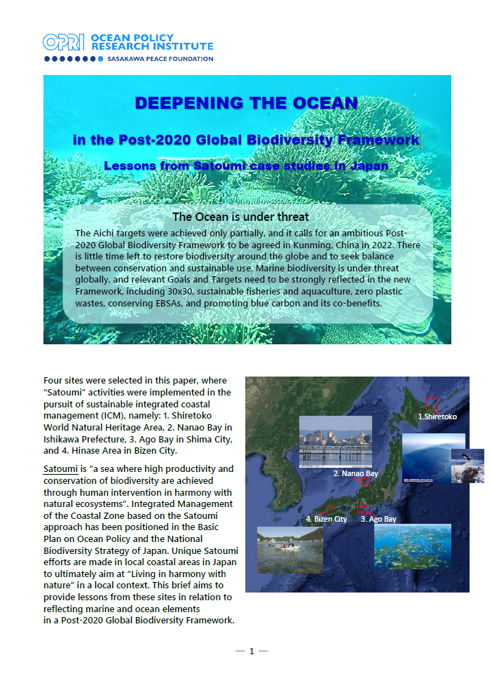 Deepening the Ocean - in the Post-2020 Global Biodiversity Framework