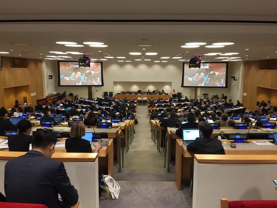 Report on the Organizational Meeting for the Intergovernmental Conference on an International Legally Binding Instrument Under UNCLOS on the Conservation and Sustainable Use of BBNJ