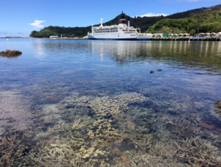 Ocean Education at Hachijojima Island of the Izu Islands and Chichijima Island of the Ogasawara Islands