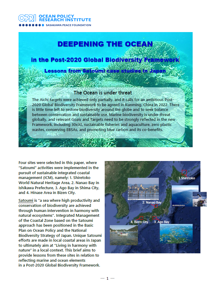 Deepening the Ocean